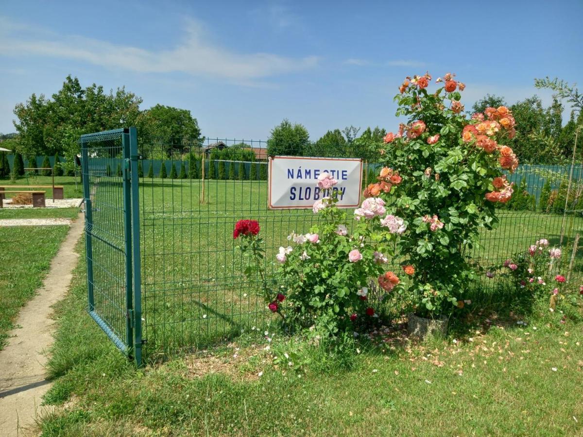 Flower Bike Štúrovo Buitenkant foto